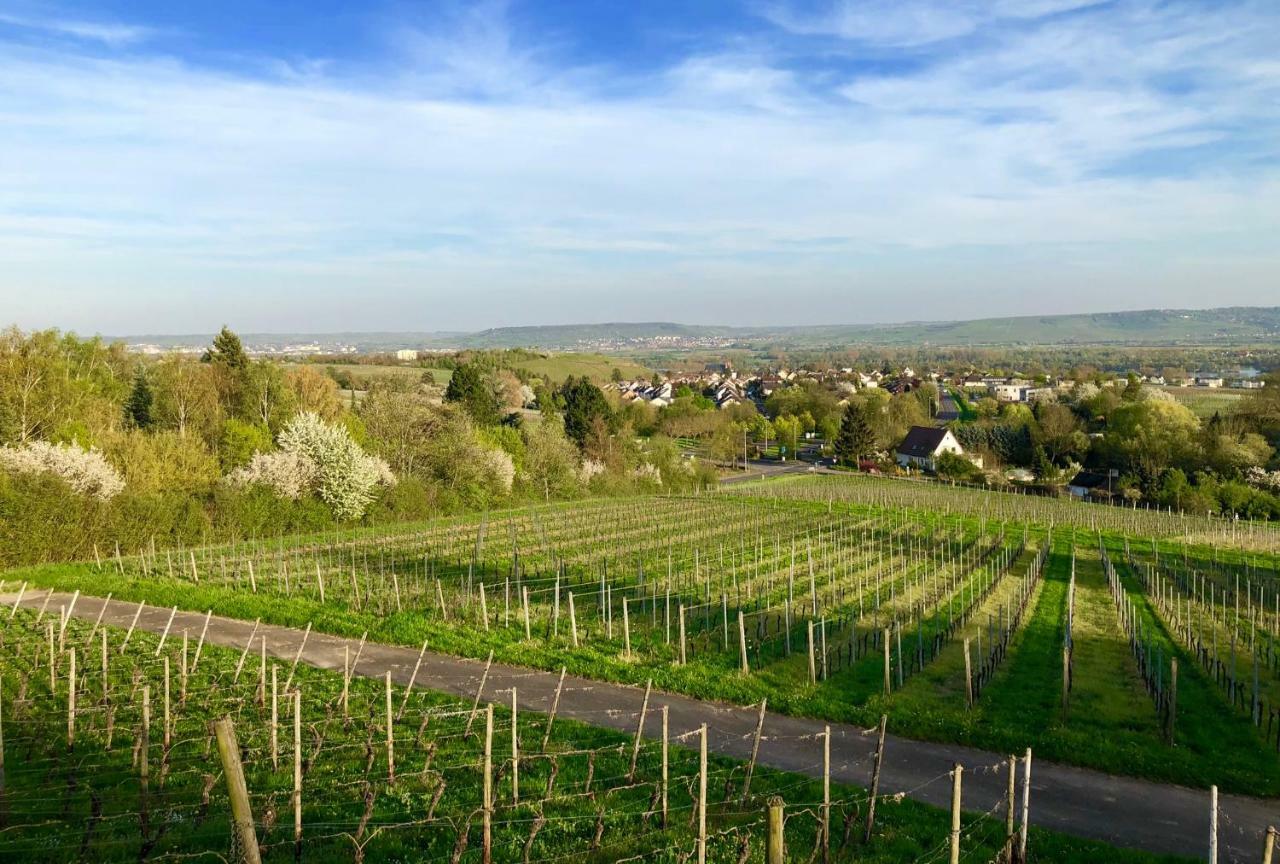 غيزينهايم Das Apartment Am Weinberg المظهر الخارجي الصورة